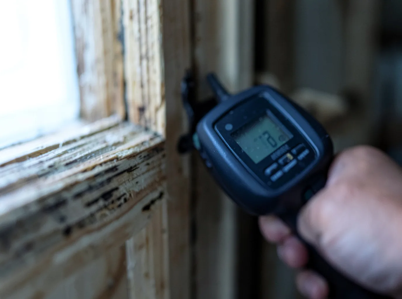 Moisture Inspection And Documentation in Laporte, CO